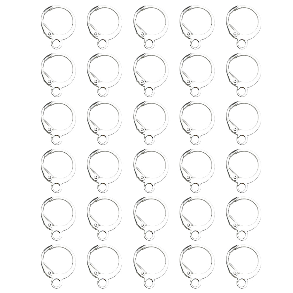 Eease 100pcs Sterling Silver Lever Back Earring Hooks for DIY Jewelry Making